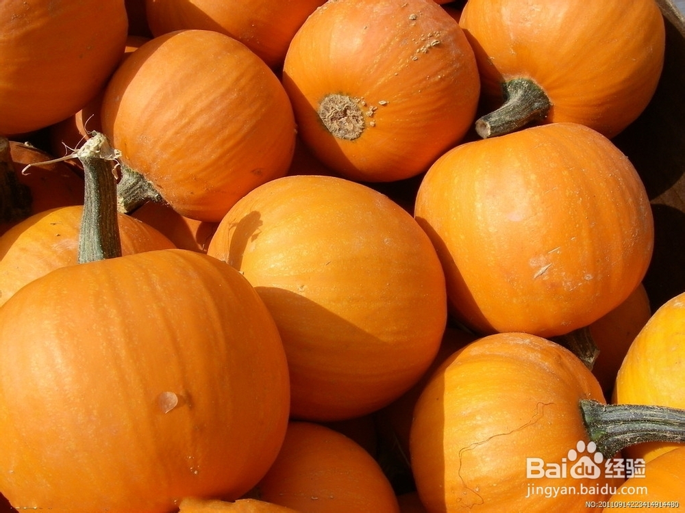 怎么制作万圣节南瓜灯