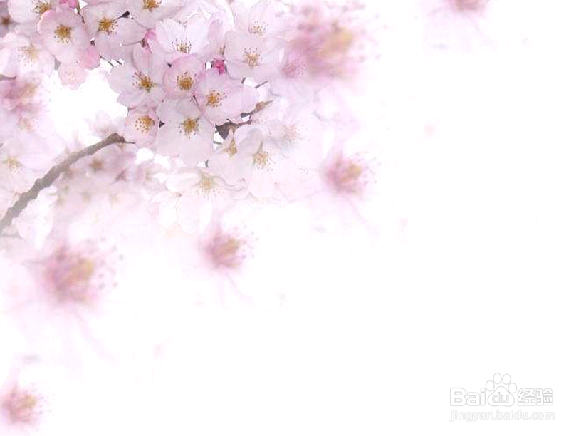 哈佛大学：一个人慢慢成为一个废柴的九大根源！