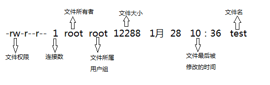 认识Linux文件属性