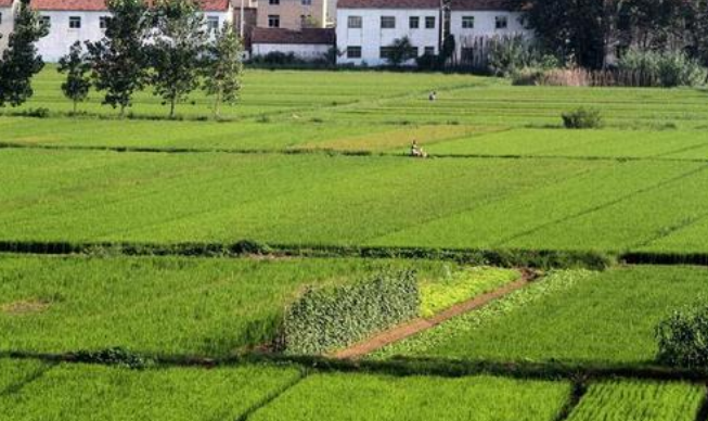 碧野田间牛得草的下联是什么