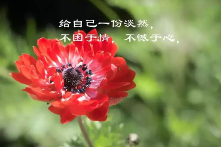 适合发朋友圈的经典短句有哪些