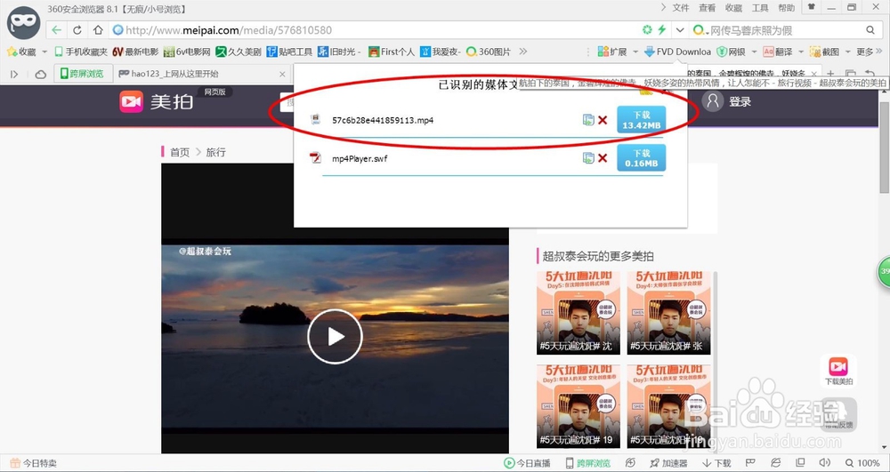把喜欢的网页上的视频下载下来