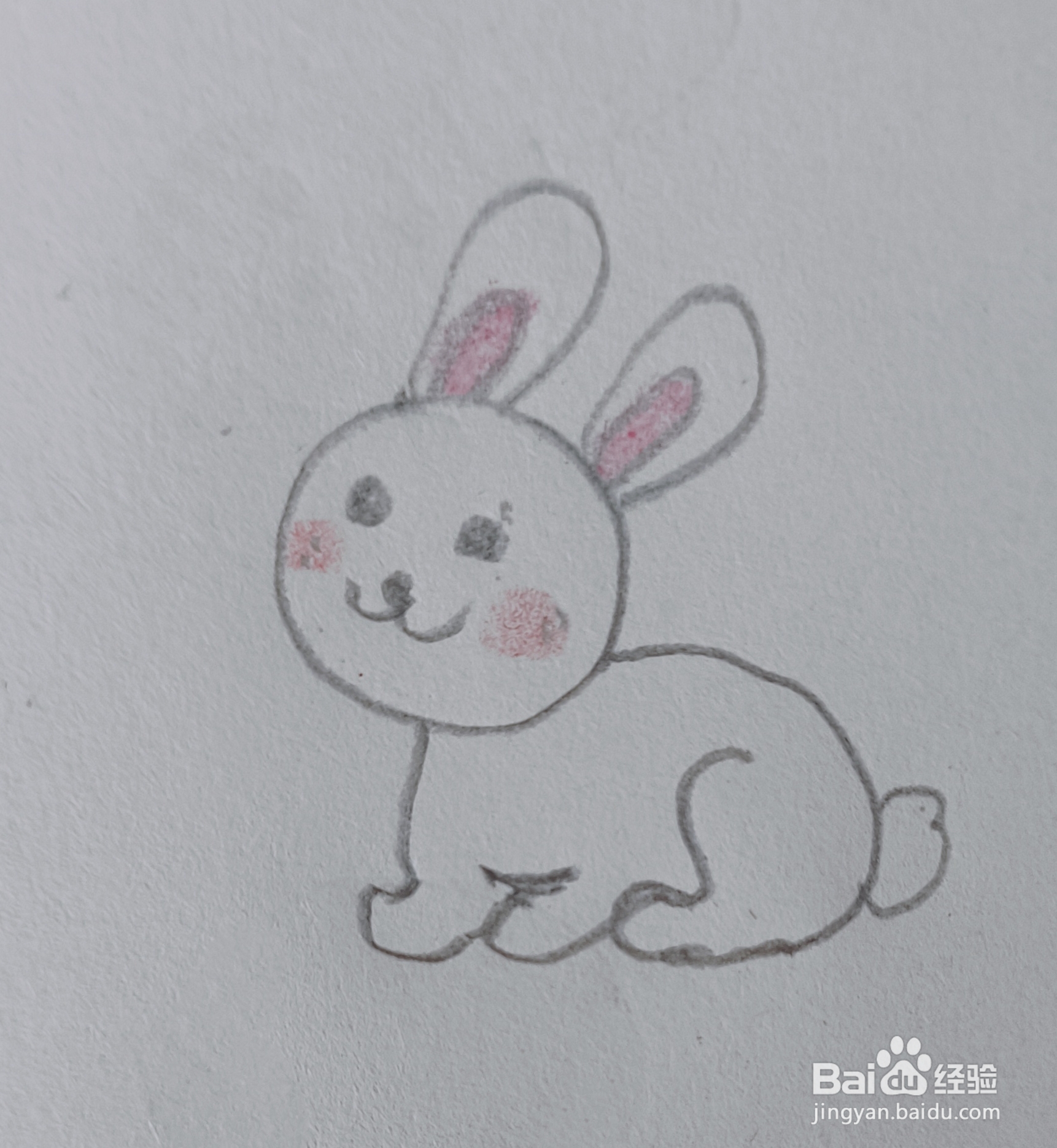 兔子的简单画法