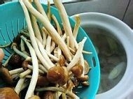 茶树菇煲鸭汤怎么做？茶树菇煲鸭汤做法