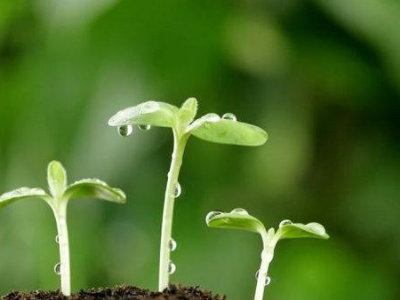 只要心中有信念,下一句是什么