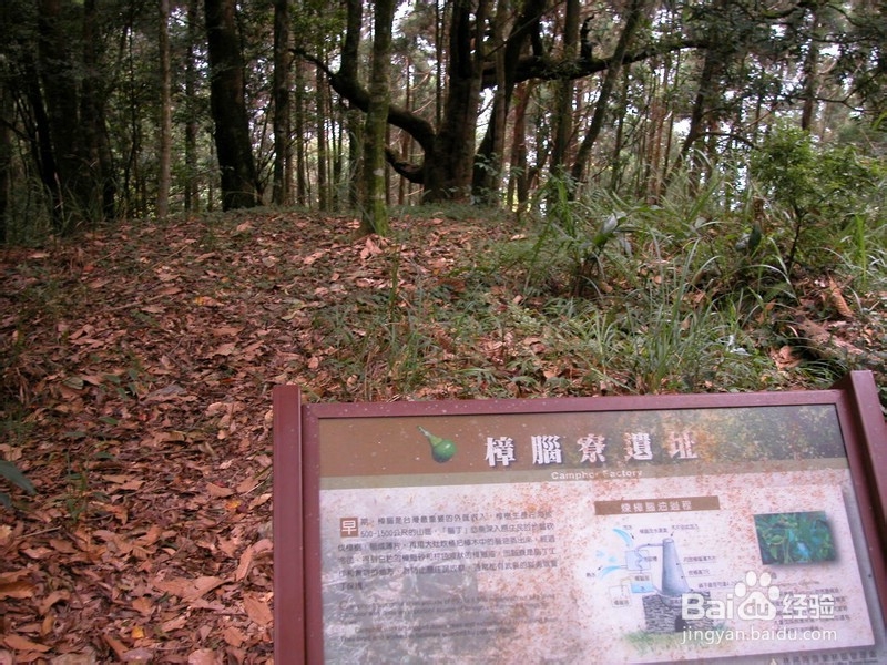 宝岛台湾旅游攻略：[3]阿里山旅游攻略