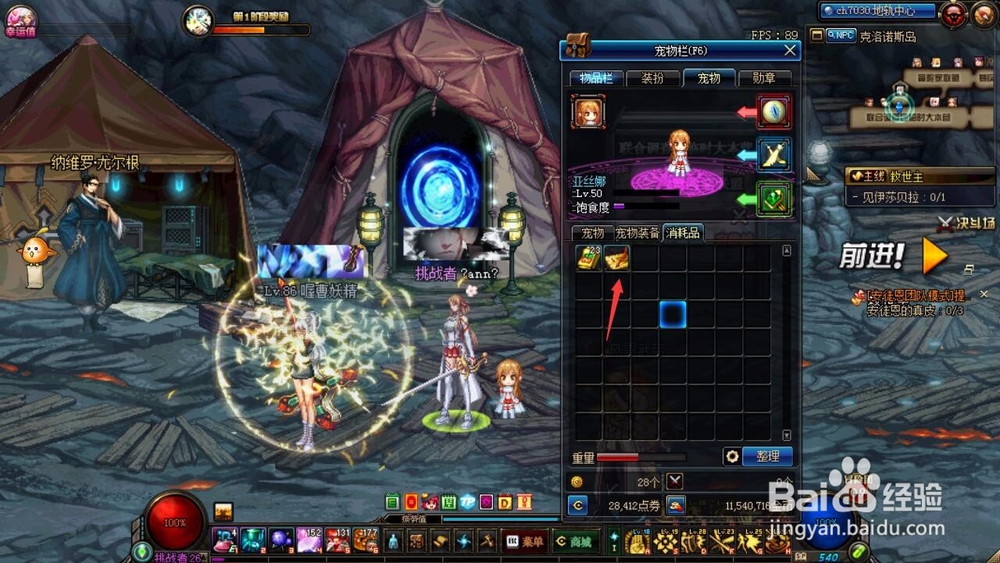 DNF宠物更名卡怎么用？