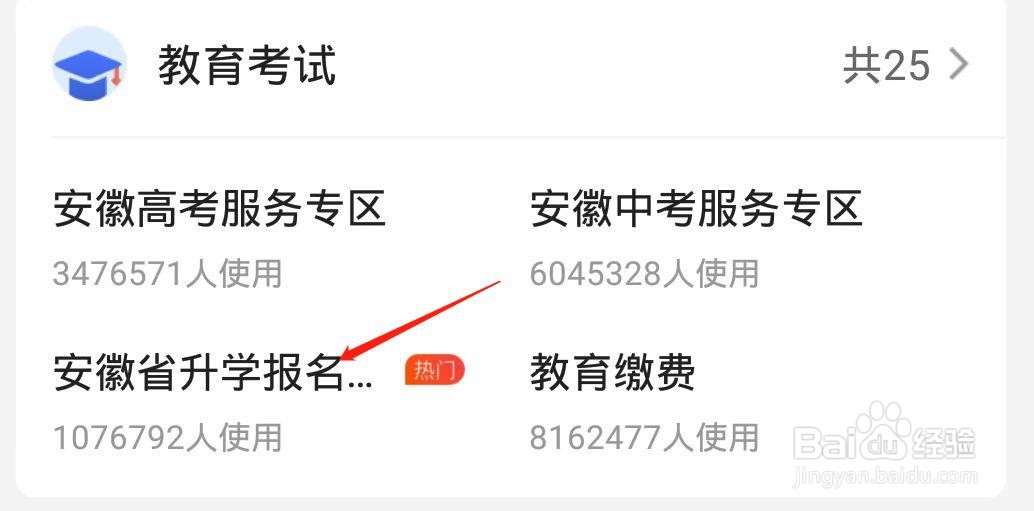 合肥小学报名网上怎么报
