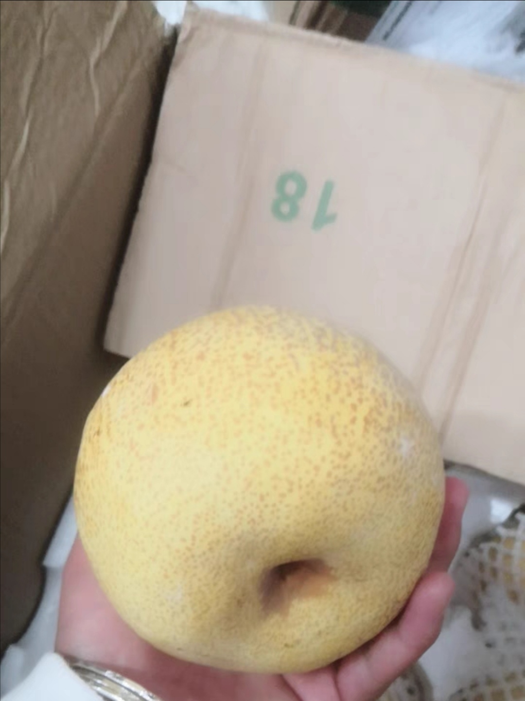 五一长假，宅家必备零食推荐！馋嘴又怕胖？吃它们就对了			