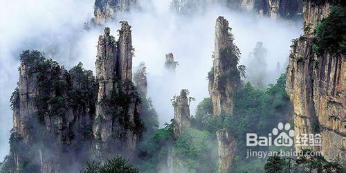 怎样安排从深圳出发张家界三日游