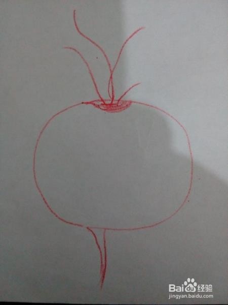 怎样简笔画萝卜