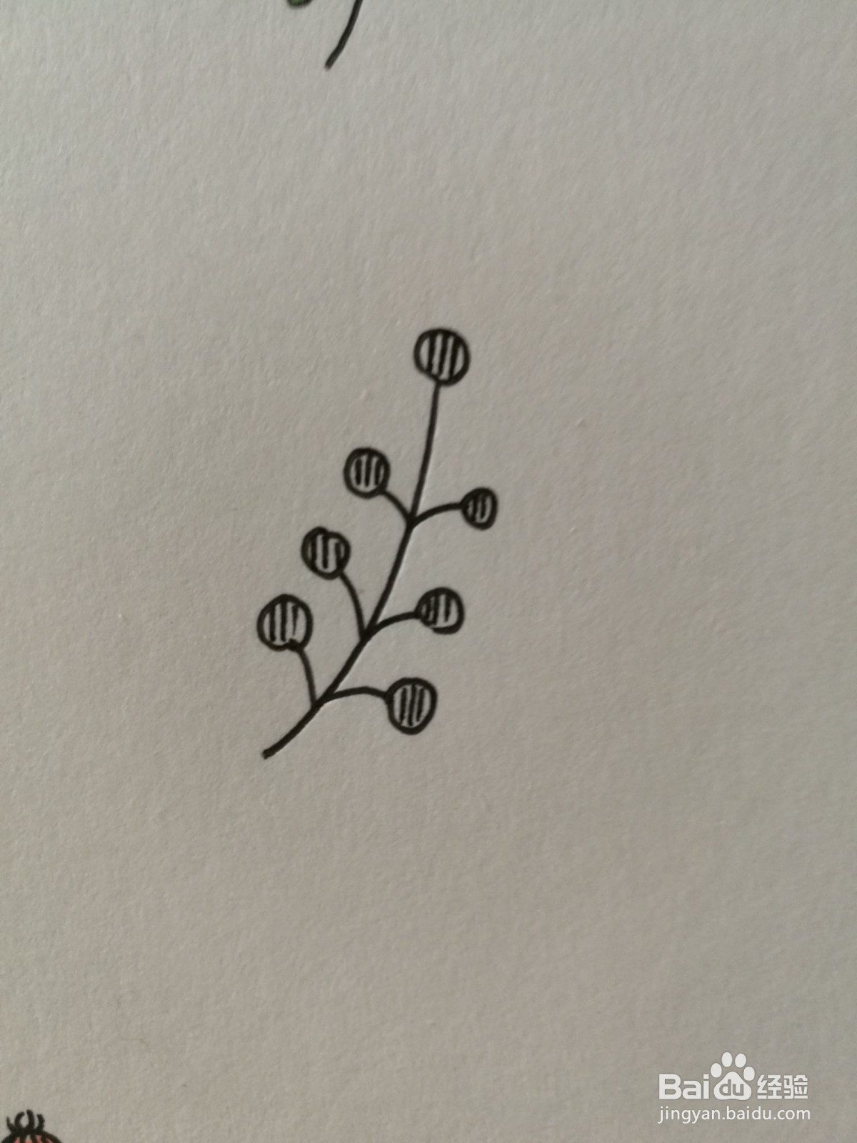 小草简笔画之画法十四