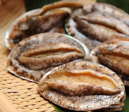 家常鲍汁怎么调