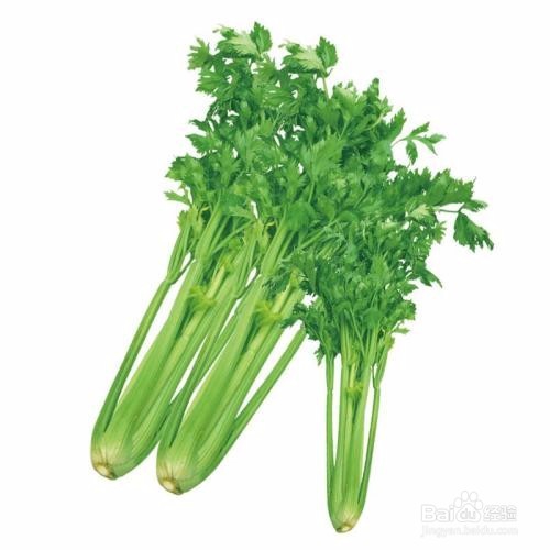 秋季吃什么蔬菜去火最有效?