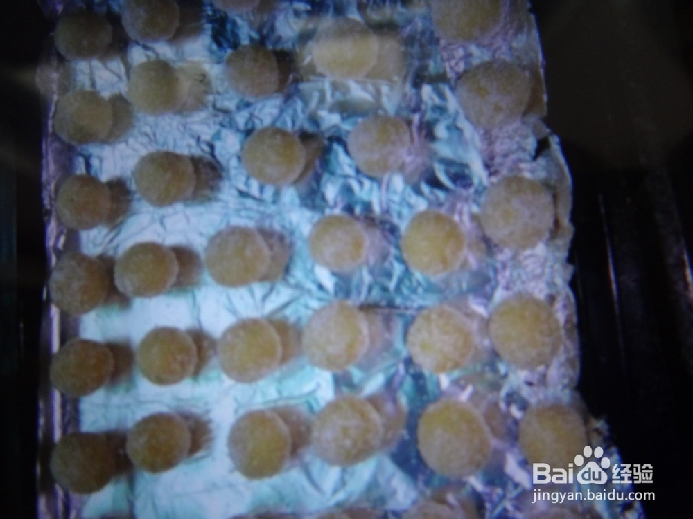 享受生活 美味椰蓉 球