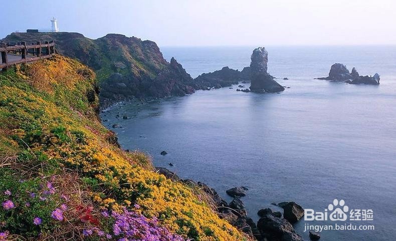 十一去韩国旅游攻略
