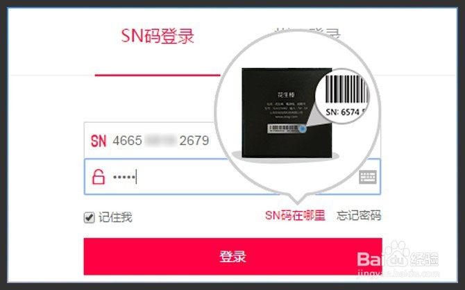 使用花生棒（内网穿透）远程控制交换机