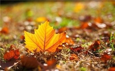 如何突破思维障碍