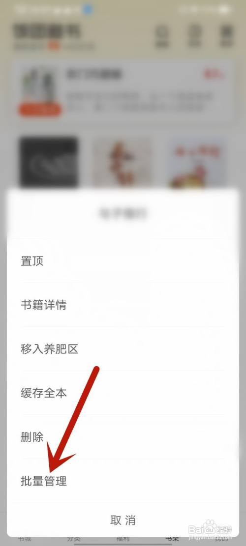饭团追书怎么批量删除书籍