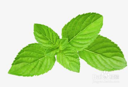 宝宝让蚊子叮了红肿怎么处理