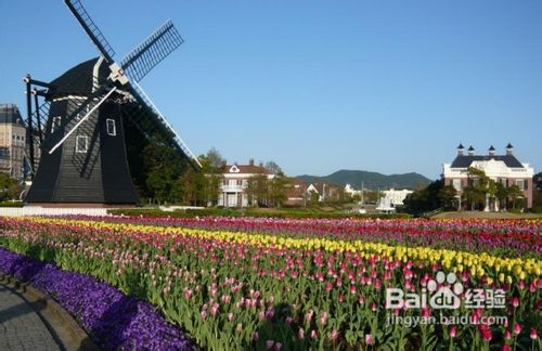 日本九州自助游攻略