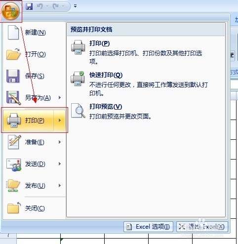 如何在Excel 2007中打印指定页面