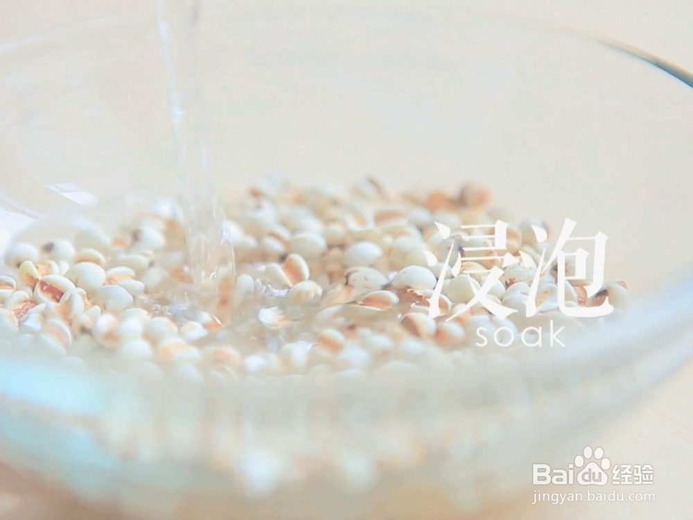 简单好吃的柠檬薏米水