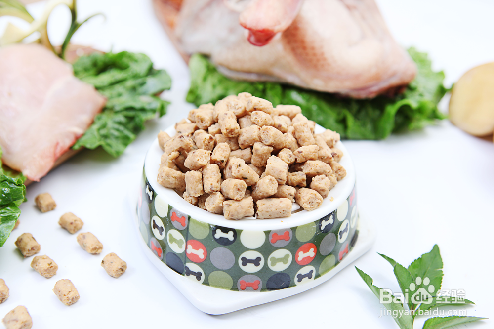 如何正确使用狗鲜粮