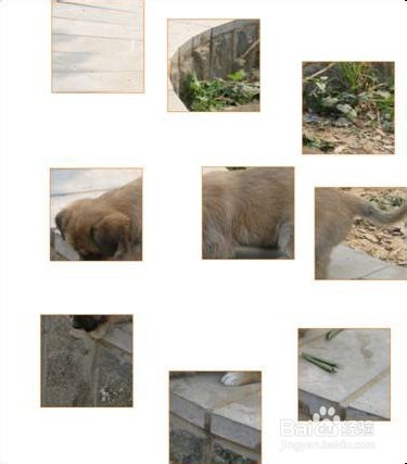 如何用CorelDRAW完成拼图游戏?