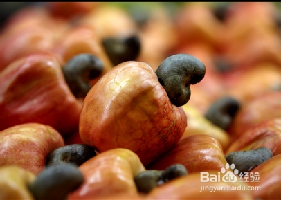 话说原生腰果的营养价值