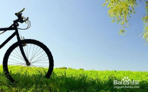 14年春天适合做什么事 百度经验