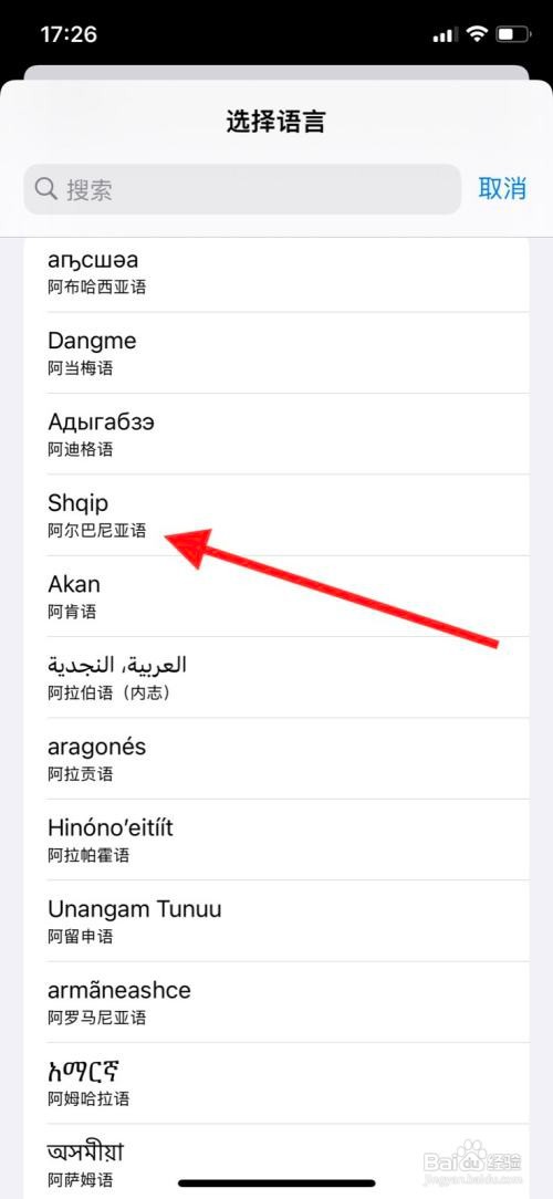 iPhone更改系统语言为“阿尔巴尼亚语”？