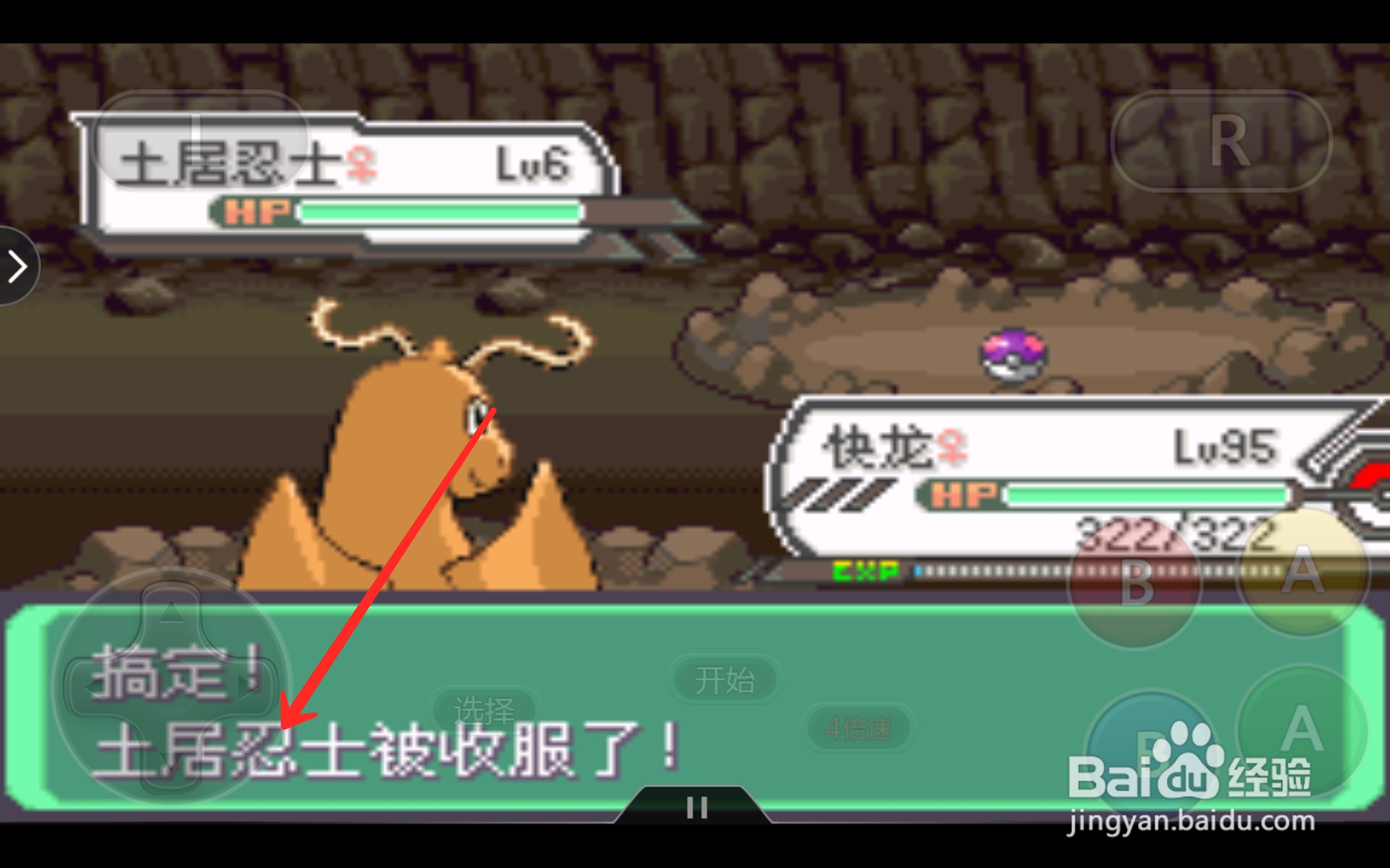 口袋妖怪土居忍士在哪抓