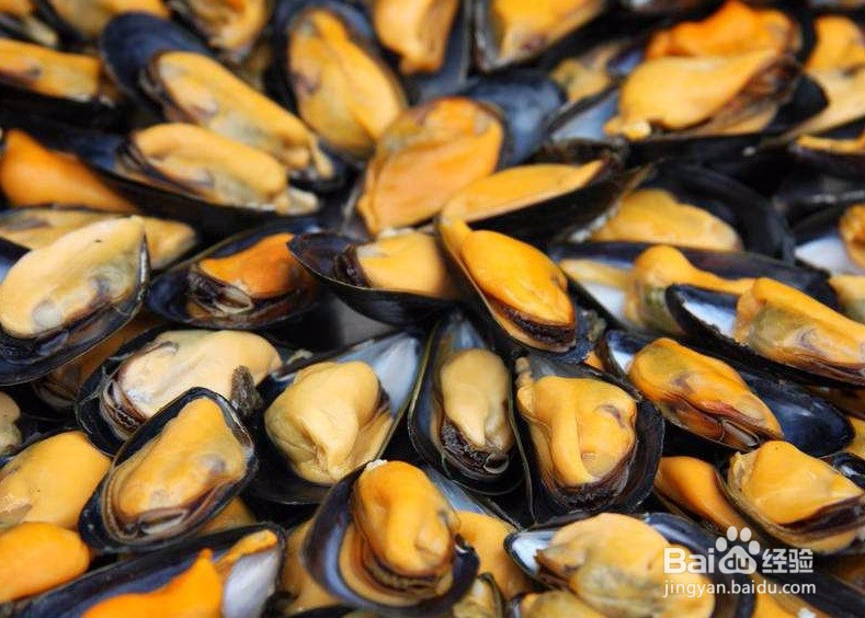 吃贻贝的禁忌