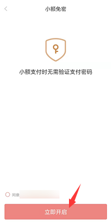京东怎么开启小额免密支付