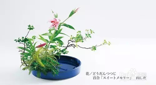 花道-融入生活的优雅