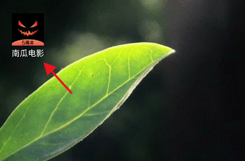 南瓜电影APP如何公开显示我的观看记录