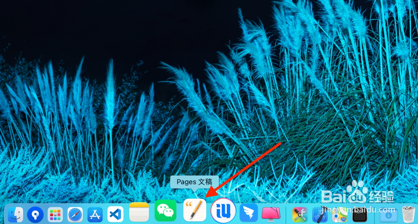 如何通过Pages文稿创建食谱