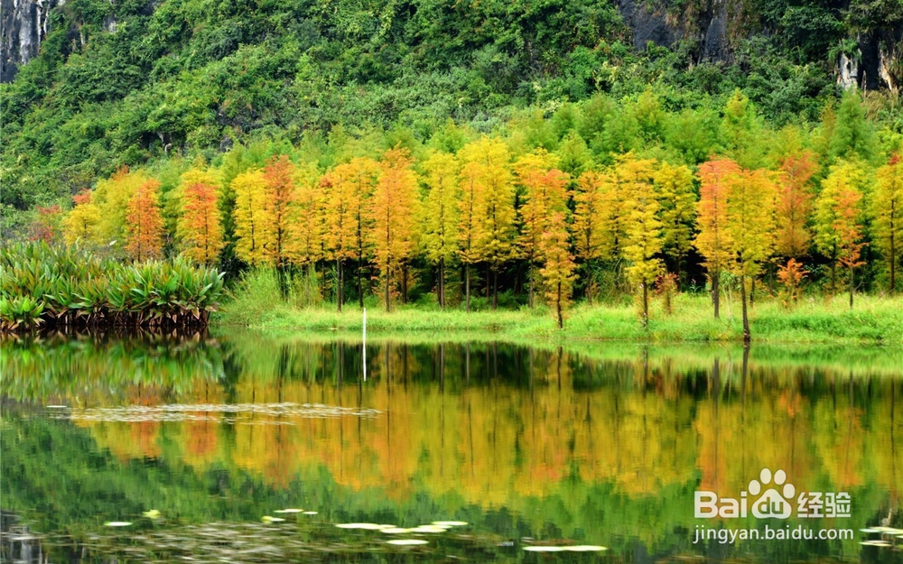 坝美旅游最佳时间
