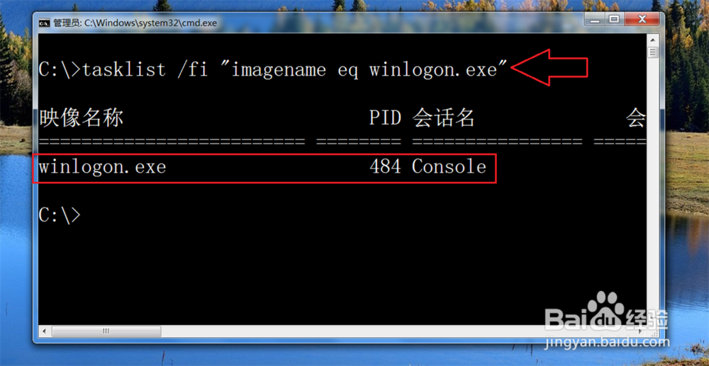 windows上 正常系统进程列表