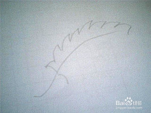 简笔画 叶子的画法