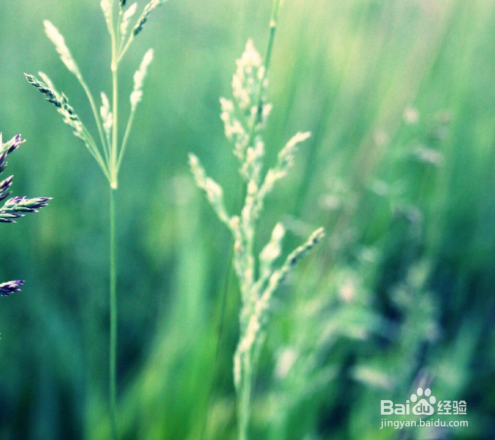 常用的几个生活常识