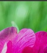 健康常识,你知道多少?2