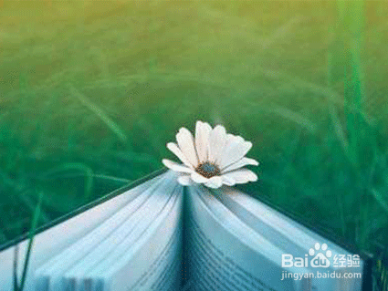 职场中如何提高交际能力,方法实用!