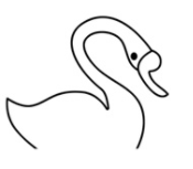 天鹅简笔画的画法步骤