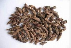 香附的功效与作用及食用方法