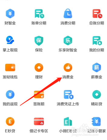 发现精彩怎么领取消费金