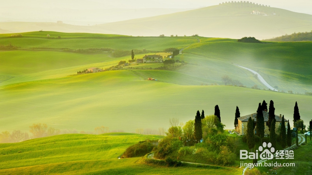 经济信息资源开发与利用：[12]复习总结十二