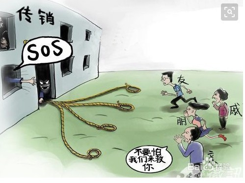 怎么区分直销与传销