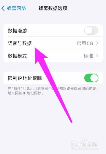 iphone13独立5g如何关闭